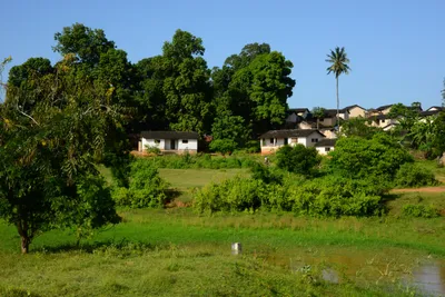 DSC_8476 (Large).JPG